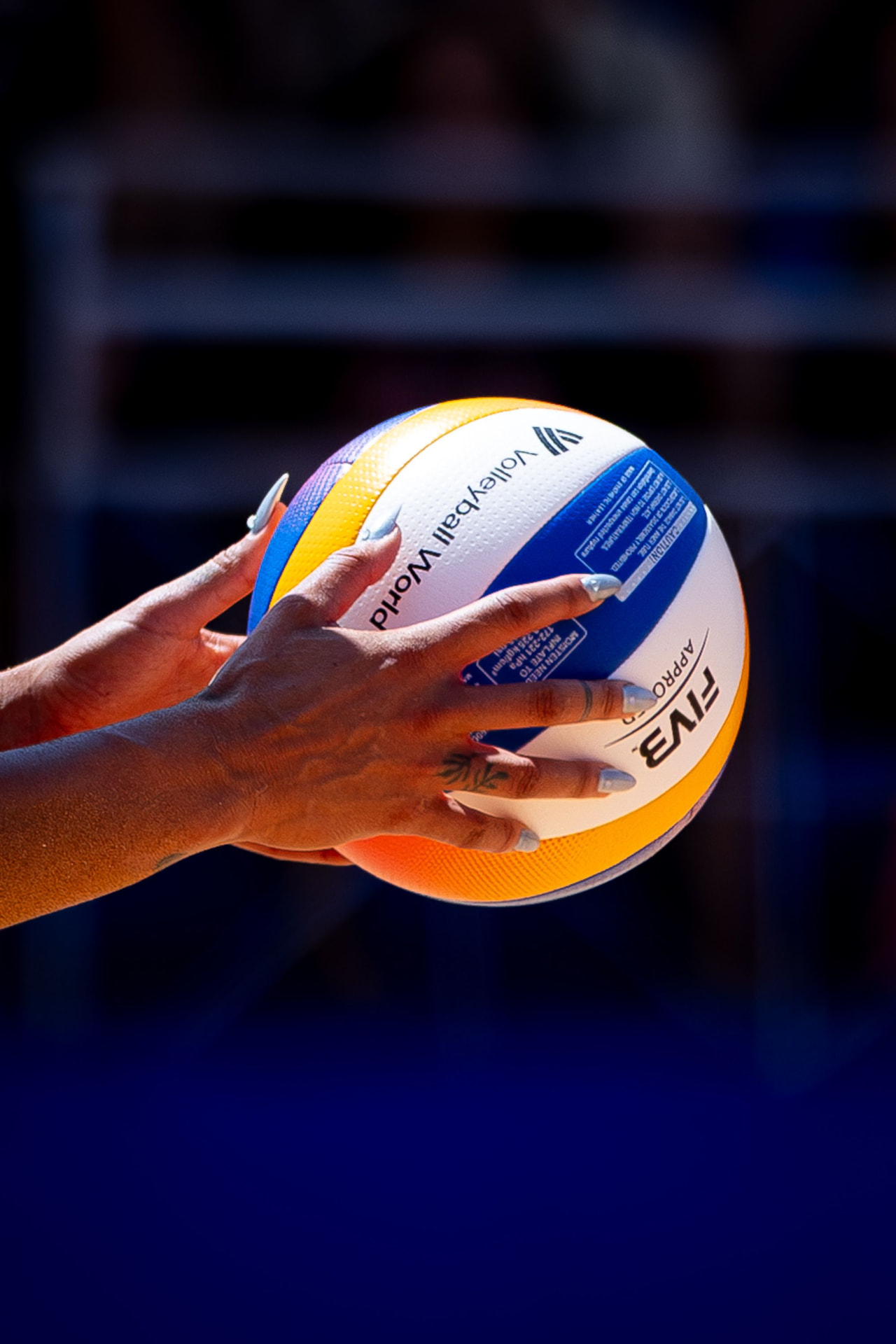 Balón de vóleibol Mikasa